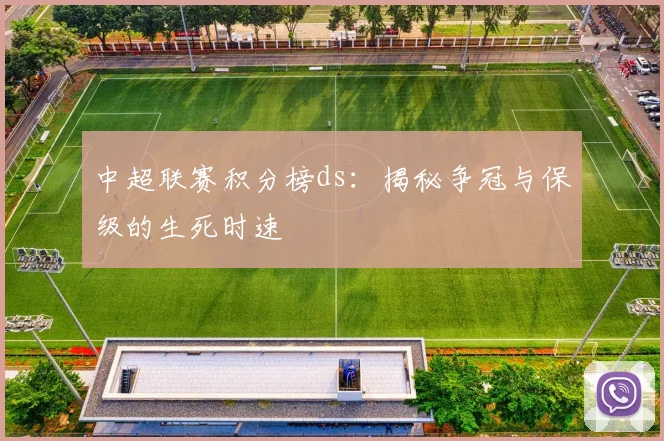 中超联赛积分榜ds:揭秘争冠与保级的生死时速