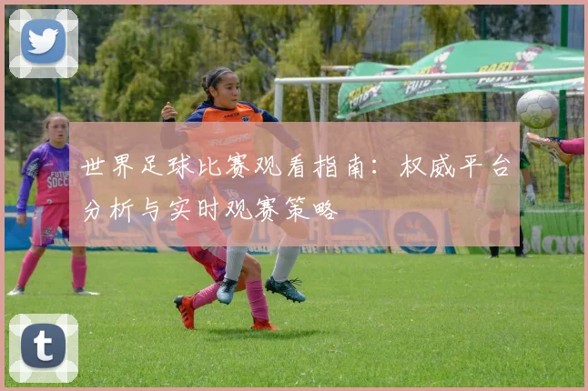 世界足球比赛观看指南：权威平台分析与实时观赛策略