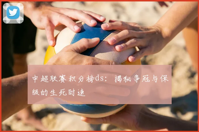 中超联赛积分榜ds：揭秘争冠与保级的生死时速